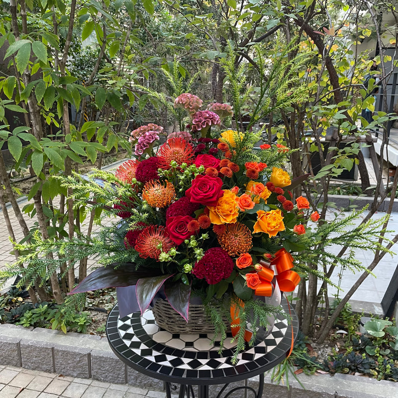 arrangement -蜜柑色-